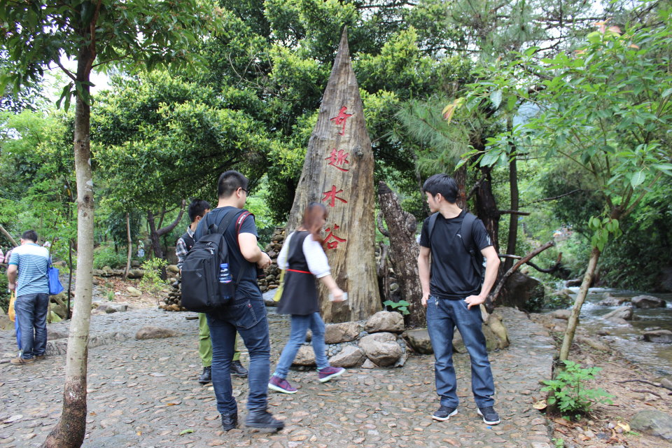tpe久爍 登高旅途的歡樂 tpe久爍 登高旅途的歡樂